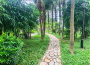 育德佳园（二期）-环境绿化