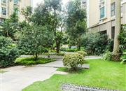 南国丽城-环境绿化