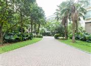 南国丽城-环境绿化