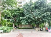 南国丽城-环境绿化