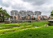 西湖苑-环境绿化