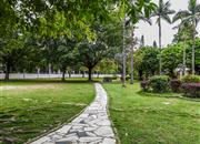 西湖苑-环境绿化