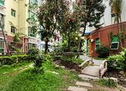 金洲嘉丽园-环境绿化