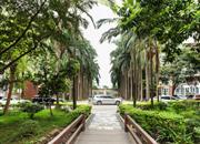 金洲嘉丽园-环境绿化