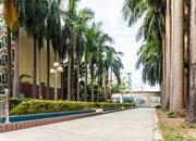 金洲嘉丽园-环境绿化