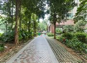 信义假日名城(五期A逸翠园)-环境绿化