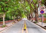 七街公馆-环境绿化