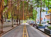 七街公馆-环境绿化