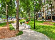 特发小区-环境绿化