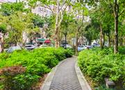 特发小区-环境绿化