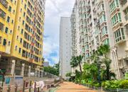 潜龙鑫茂花园（C区）-环境绿化