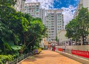 潜龙鑫茂花园（C区）-环境绿化