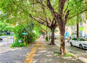 聚豪园-环境绿化