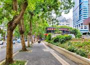 侨福大厦-环境绿化