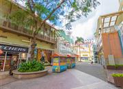 书香门第上河坊广场-环境绿化