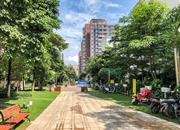 富通V都会-环境绿化