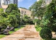 富通V都会-环境绿化