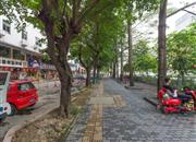 宝城花园-环境绿化