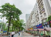 宝城花园-环境绿化