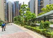 同和悦园-环境绿化