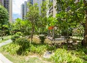 同和悦园-环境绿化