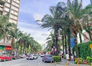 御花园-环境绿化