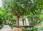 御花园-环境绿化