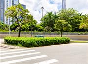 中电信息大厦-环境绿化