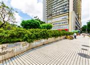 中电信息大厦-环境绿化