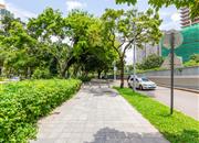 中电信息大厦-环境绿化