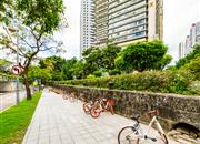 中电信息大厦-环境绿化