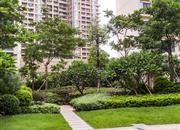 西荟城（二期）-环境绿化