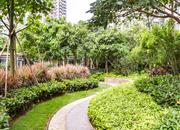 西荟城（二期）-环境绿化