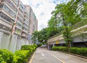 潜龙鑫茂花园（B区）-环境绿化