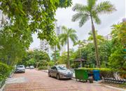 潜龙鑫茂花园（B区）-环境绿化