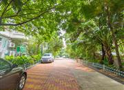 潜龙鑫茂花园（B区）-环境绿化