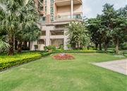 鸿荣源禧园-环境绿化