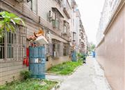 海乐花园-环境绿化