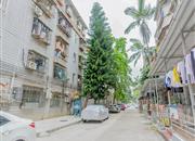 海乐花园-环境绿化