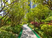 水榭春天花园（六期B区）-环境绿化