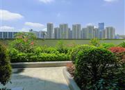 名门华府-环境绿化