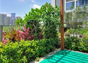 名门华府-环境绿化