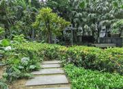 宏发领域-环境绿化