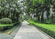 宏发领域-环境绿化