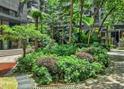 花样年花乡-环境绿化