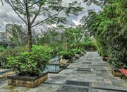 风临洲苑-环境绿化