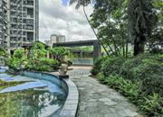 风临洲苑-环境绿化