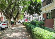 宝安海滨城广场-环境绿化