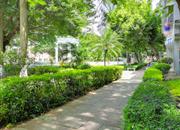 宝安海滨城广场-环境绿化