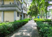 宝安海滨城广场-环境绿化